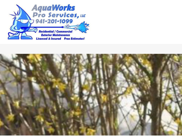 aquaworksproservices.com